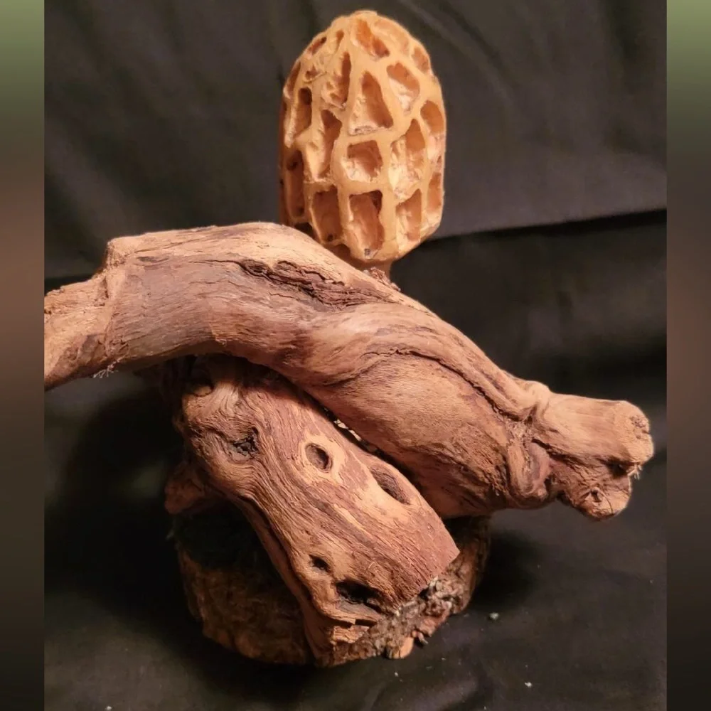 Wooden Morel Mushroom Sculpture with Moss Base